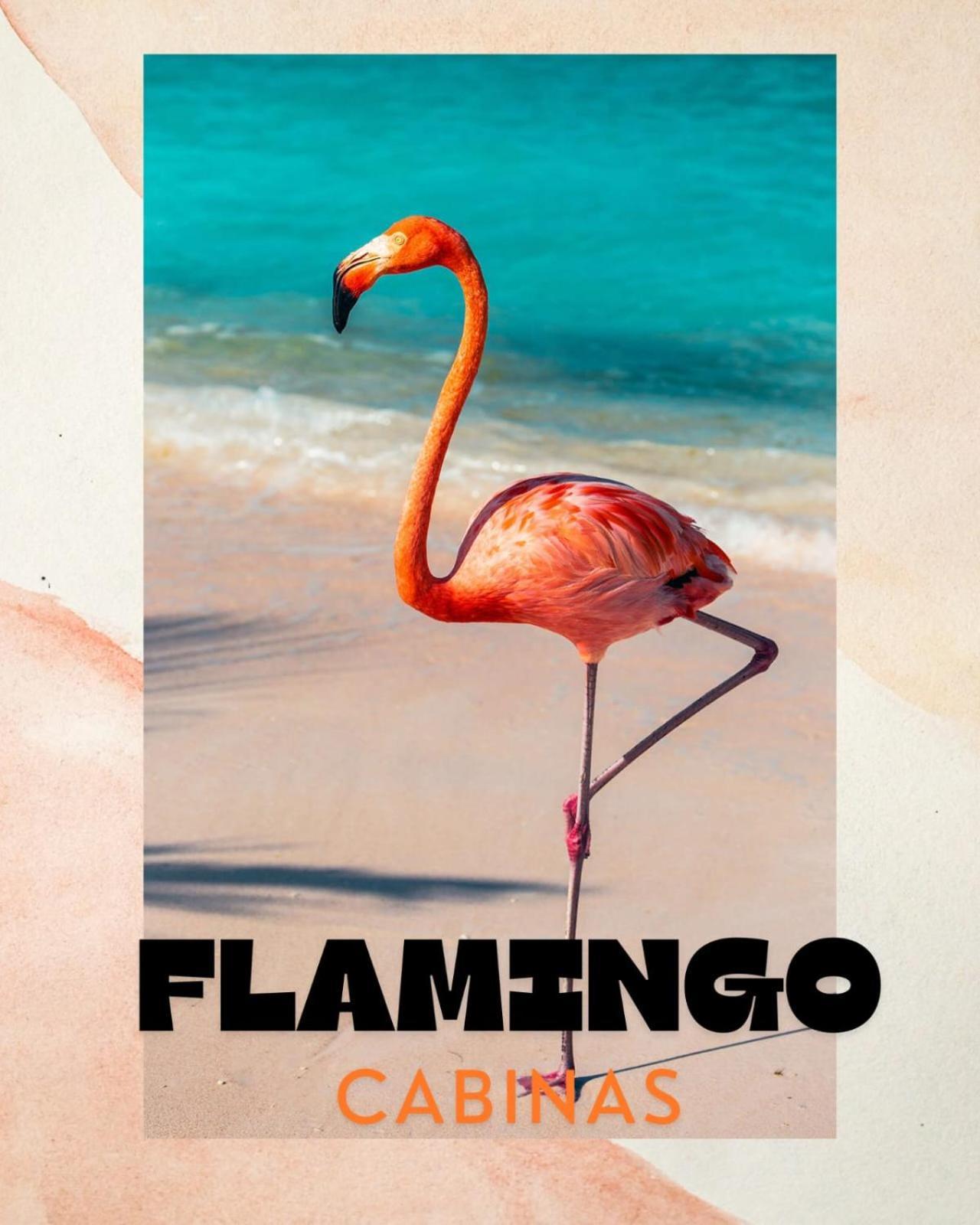 Cabinas Flamingo Playa Flamingo Εξωτερικό φωτογραφία